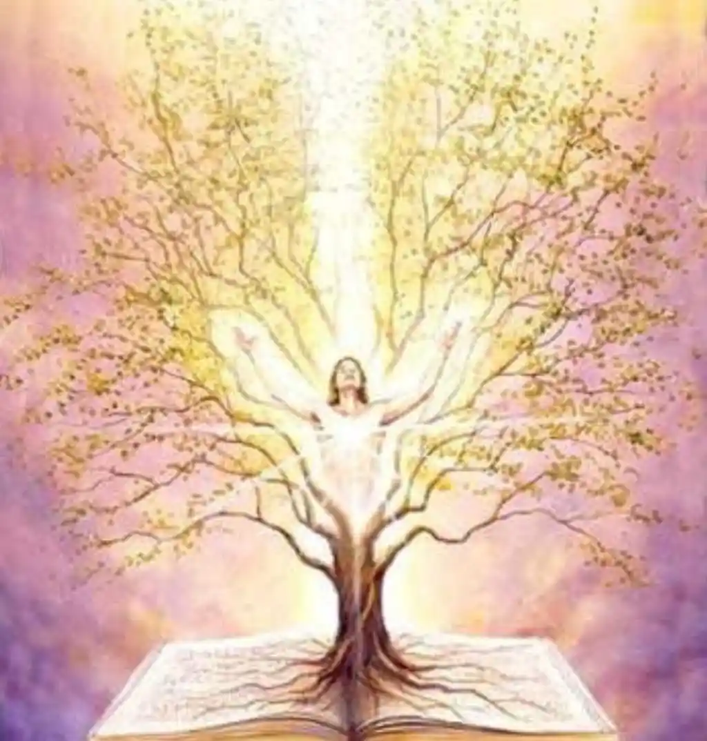 Los Registros Akáshicos, para que sirven?